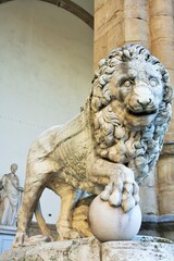 Fototapeta na wymiar Florence, Tuscany, Italy: ancient statue of a lion in Piazza della Signoria, sculpture that depicts a lion with a sphere under one paw