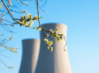 Willow catkins branch against a nuclear power plant
