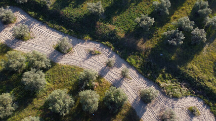 pola zieleń wiosna widok krajobraz rośliny  © Piotr