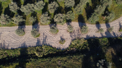 pola zieleń wiosna widok krajobraz rośliny  © Piotr