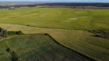 pola zieleń wiosna widok krajobraz rośliny  © Piotr