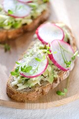 Fresh green spring sandwich with avocado and radish at light background. Copyspace