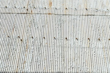 トタン壁