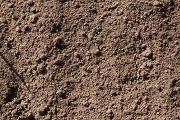 Fertile soil chernozem for plants