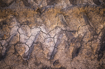 texture of dry broken ground with tractor tracks