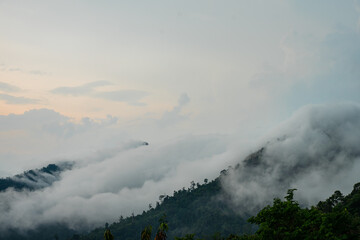 Mountains and fog in tropical rain forest