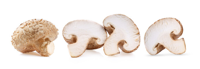 Shiitake mushrooms on white background