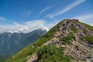 夏の登山道