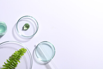 Organic cosmetic product, natural ingredients and laboratory glassware on white background, top view. Space for text