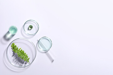 Organic cosmetic product, natural ingredients and laboratory glassware on white background, top...