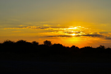 Africa sunrise over trees