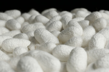 Fototapeta na wymiar Heap of white silk cocoons, closeup view