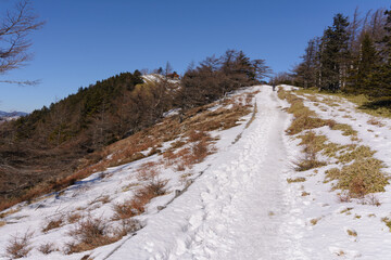 残雪の登山道