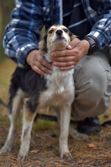 cute little white with red and black dog in arms