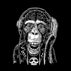 Monkey rocker in headphones and t-shirt with skull. Vintage engraving