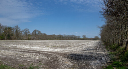 Fototapeta na wymiar Field with chalk. Fertilization. Uffelte Drenthe Netherlands. Countryside.