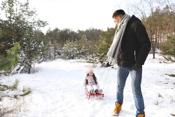 Fototapeta na wymiar Father pulling sledge with his daughter outdoors on winter day. Christmas vacation