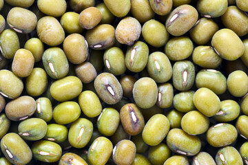 Bean mung agriculture green seeds closeup food texture background. Mung bean known as green gram, maash, moong, monggo, or munggo plant species in legume family, ingredient in savoury and sweet dishes