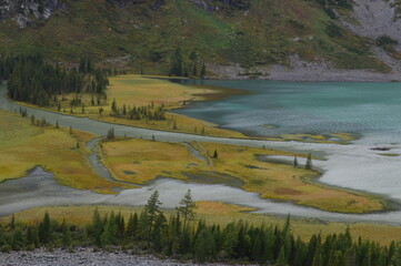Alluring swamp, Multa, Altai