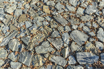 Park stone path with dry brown leaves