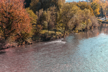 Part of river with tree and a lot of bushes
