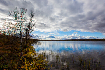 Fototapeta premium Autumn landscape in tundra, northern Norway. Europe