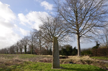 Ancient rock on the field