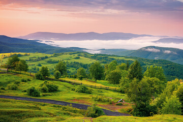 Obraz premium mountainous rural landscape at dawn. trees and agricultural fields on hills rolling in to the distant misty valley. ridge beneath a colorful sky in morning light