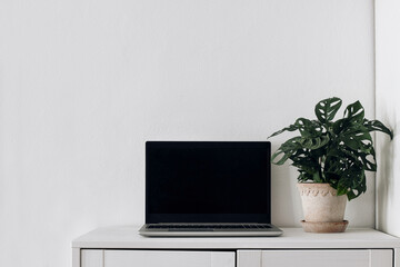 Modern simple workspace composition. Notebook mock-up scene. Monstera plant in flower pot and...