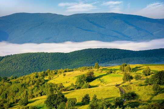 rural landscape in the morning. mist in the distant valley. trees and fields on the hill in morning light