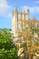 View of Cathedral in Wells