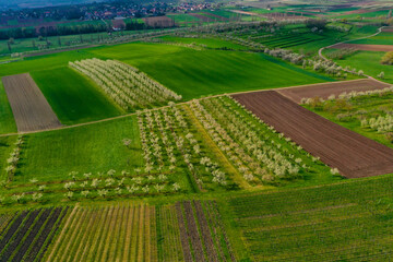 paysage d'Alsace au printemps