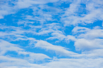 Fototapeta premium Autumn landscape in Yllas Pallastunturi National Park, Lapland, Finland