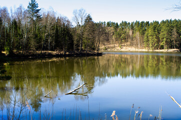 lake in the forest