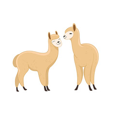Couple of wild animals. Cute alpaca character. Vector illustration.