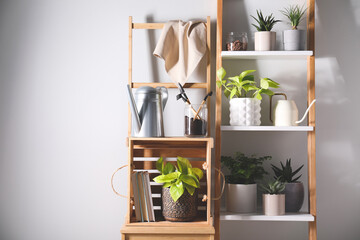 Beautiful houseplants and gardening tools near white wall. Space for text