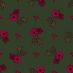 Chrysanthemum flowers drawing, bloom in pink colors, floral seamless pattern, nature abstract background vector. Line art botanical illustration graphic design print, fabric. Trendy green wallpaper