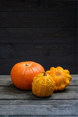 Pumpkins on dark wooden background. Halloween harvesting thanksgiving concept