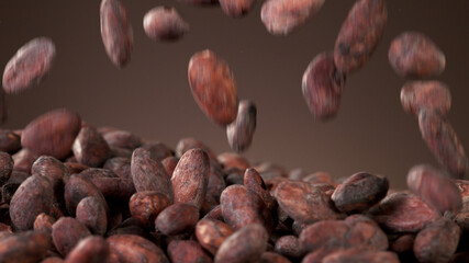 Falling roasted cocoa beans