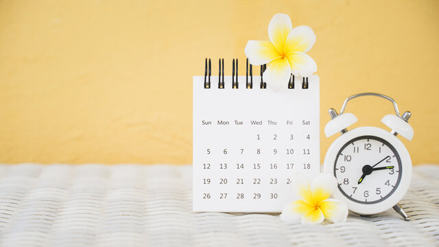 white analog clock and opened calendar on table on blurred grunge yellow wall with blossom plumeria flower with copy space for vacation, relaxation planning