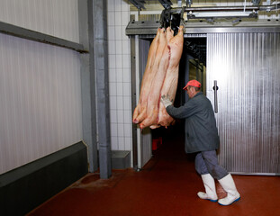 A worker in white and red uniform at the meat manufacturing with pork carcasses in refrigerator on the background.