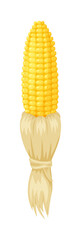 Cartoon corn cob peeled from dry husk isolated