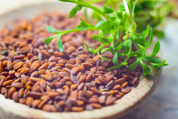 Cress, Lepidium sativum, garden cress, seeds on a wooden spoon and green leaves