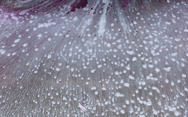 close-up - white foam on concrete at a car wash