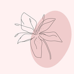Vector outline, lily flower in black isolated on pink background. Flora for postcards, poster, invite. Wedding concept.