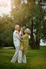 happy senior couple dancing  in summer park