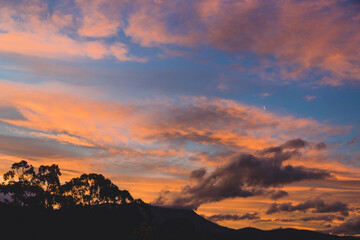 majestic pink sunset over the mountains with eucalyptus gum trees silhouettes shot in Tasmania