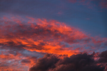 majestic pink sunset over the mountains with eucalyptus gum trees silhouettes shot in Tasmania