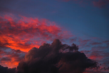 majestic pink sunset over the mountains with eucalyptus gum trees silhouettes shot in Tasmania