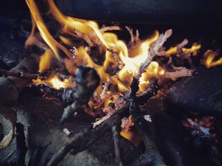 burning wood in the fireplace
